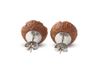 Thumbnail for Coconut Halves - Stud Earrings